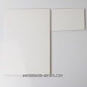 PLAQUE EN PORCELAINE RECTANGULAIRE 15X10CM /